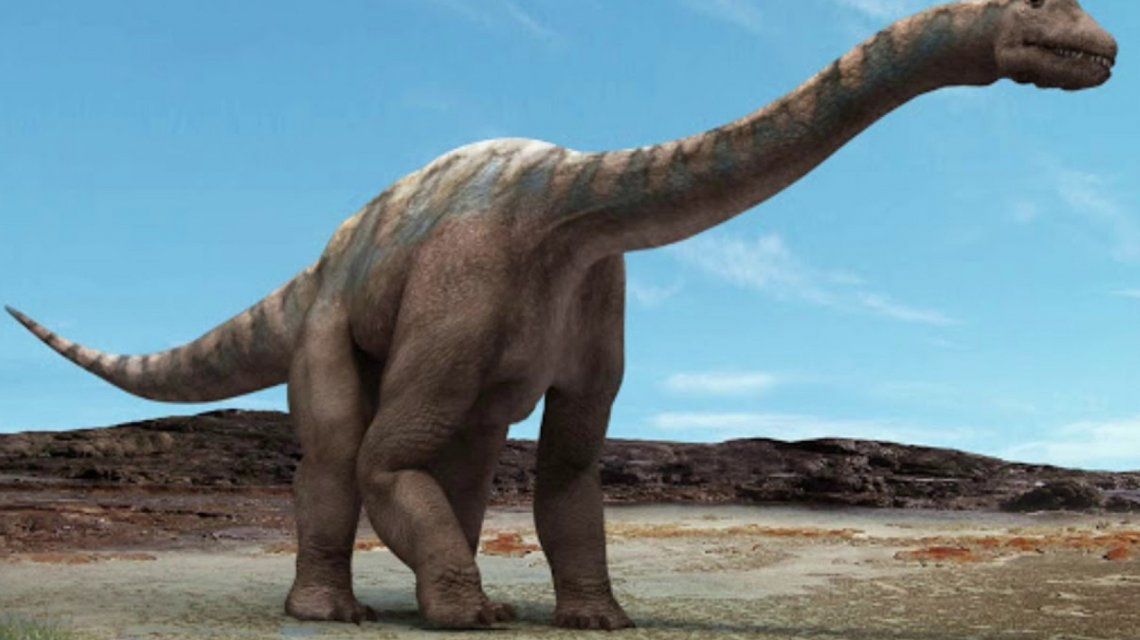 Descubrieron en Chubut una especie de dinosaurio que revela datos claves sobre la evolución