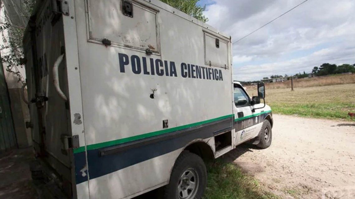 Mar del Plata: asesinaron a un hombre y su cadáver fue devorado por perros