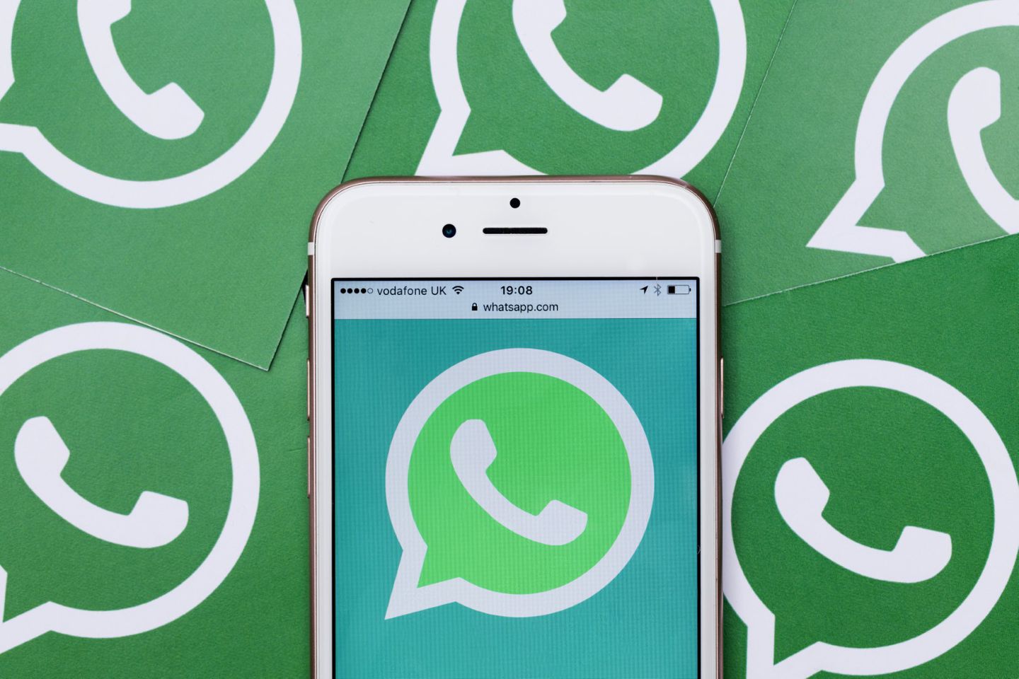 Polémica en WhatsApp: el detrás de escena de la nueva exigencia para usar la app