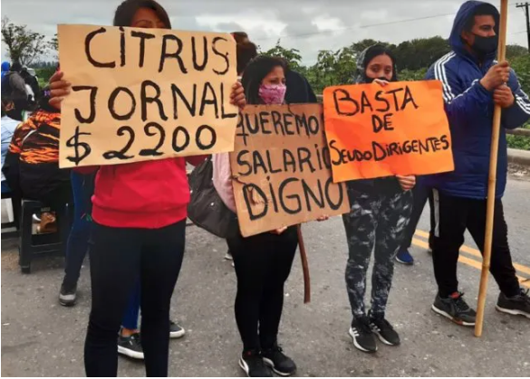 Siguen los cortes en Tucumán: trabajadores responsabilizan a UATRE y hay preocupación empresarial