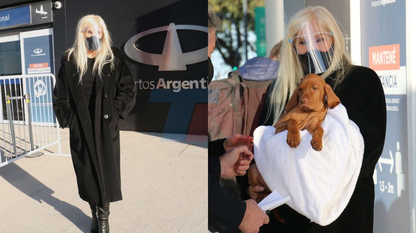 Las fotos de la llegada de Susana Giménez a Buenos Aires: a quién le regalará uno de sus cachorros