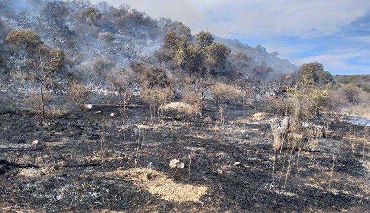 San Luis: feroz incendio forestal en Potrero de los Funes