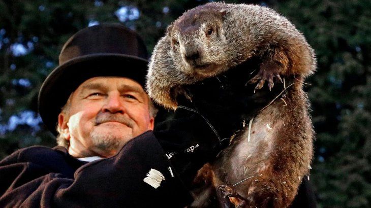 Estados Unidos: murió la marmota «Milltown Mel» horas antes del «Día de la Marmota»