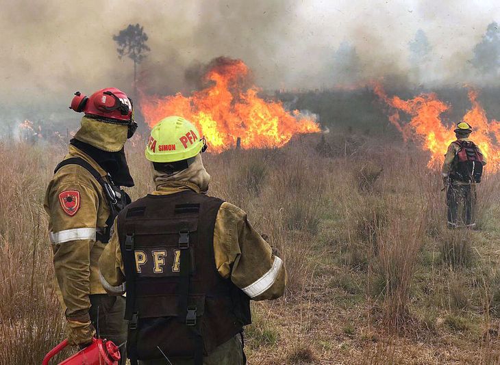 Alberto Fernández viaja a Corrientes y recorrerá los incendios junto al gobernador Valdés