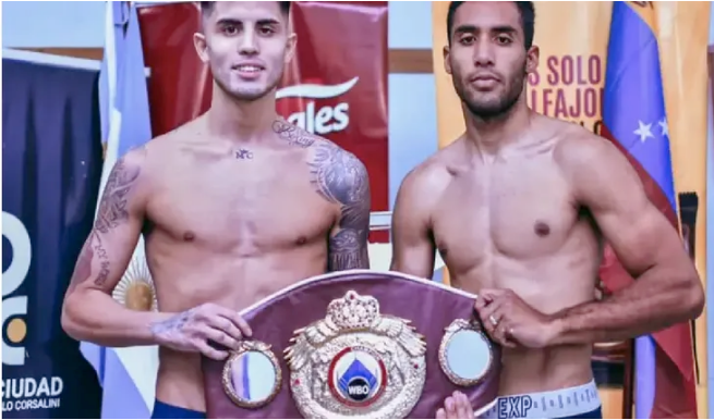 Boxeo: el argentino Carlos Alanis pelea por el título juvenil superpluma