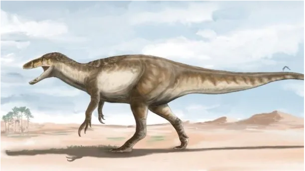 Santa Cruz: presentaron el dinosaurio más grande hallado hasta el momento en el mundo