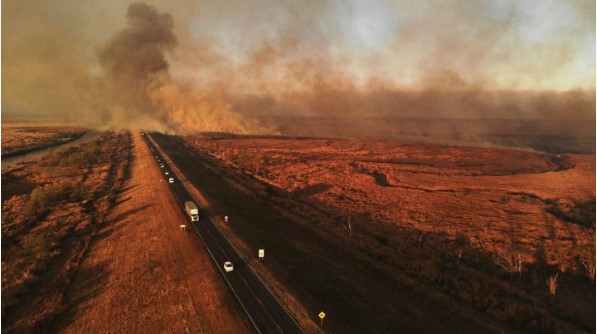 Fuego en el Delta: ya se quemaron 95 mil hectáreas y alertan sobre la presencia de contaminantes en el aire
