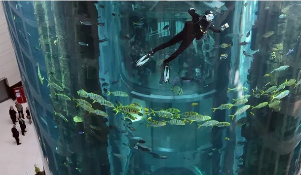 Estalló el acuario cilíndrico más grande del mundo: personas heridas y miles de peces muertos