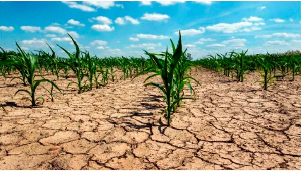 Sequía extrema: los pronósticos climáticos del verano refuerzan la preocupación por el impacto en la economía