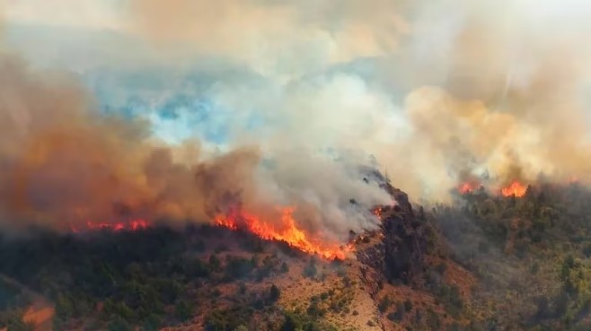 Incendios forestales: cuatro provincias combatieron nuevos focos