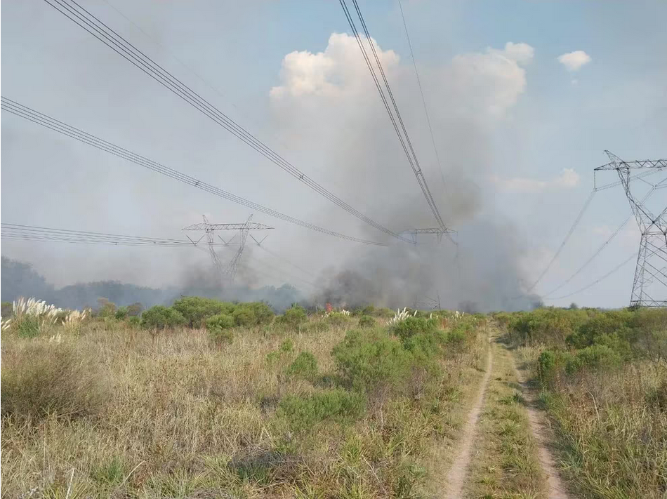 Apagón masivo en casi todo el país: un incendio en la red eléctrica obligó a sacar de funcionamiento Atucha I y Central Puerto