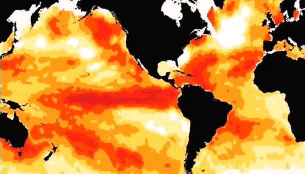 Ahora identifican más olas de calor en el fondo del océano