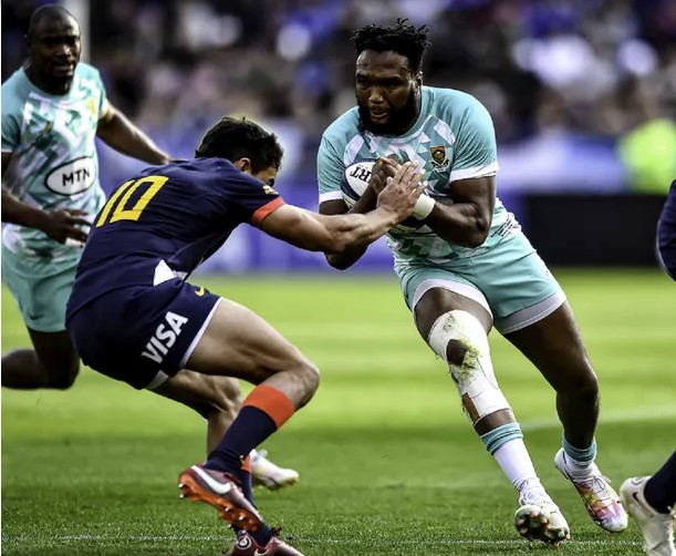 Los Pumas cayeron ante Sudáfrica en la despedida antes del Mundial de Rugby