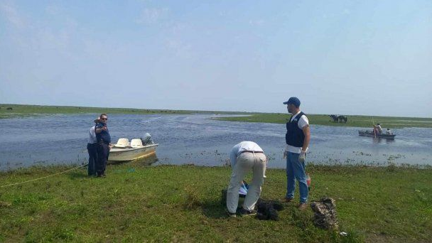 Corrientes: peón rural de 18 años murió ahogado mientras arreaba animales en un río