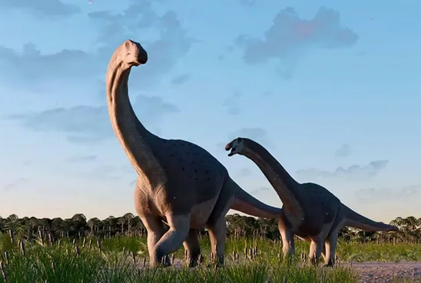 Paleontólogos del Conicet hallaron restos de otro titanosaurio que habitó la Patagonia