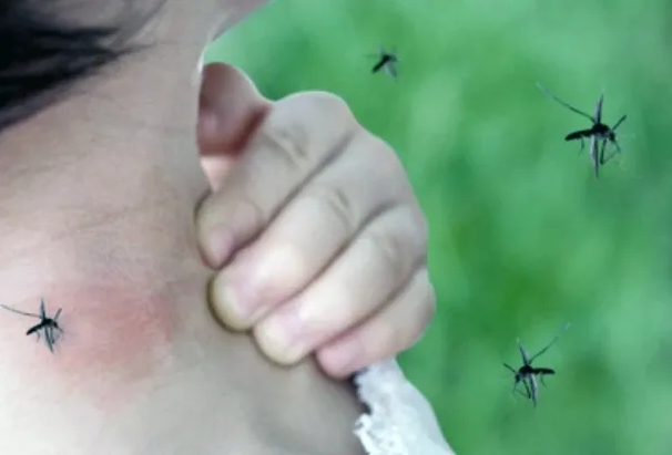 Brote de dengue: el Gobierno decidió abrir la importación de repelentes