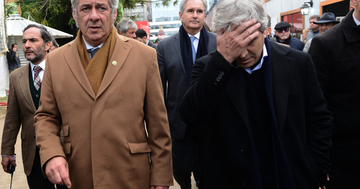 De la ilusión al malhumor, la Rural espera a Milei De la ilusión al malhumor, la Rural espera a Milei