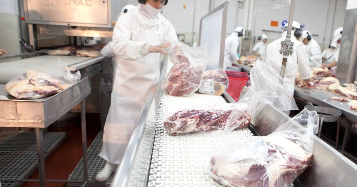 Cambió la tendencia en las exportaciones de carne bovina: julio cerró con suba en el valor pese a una leve baja en los volúmenes