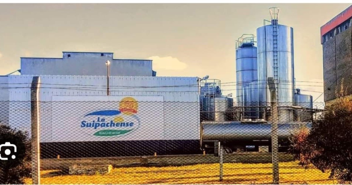 «Anarquía»: Una histórica láctea denunció violencia por parte del gremio y está trabajando al 50% de su capacidad productiva