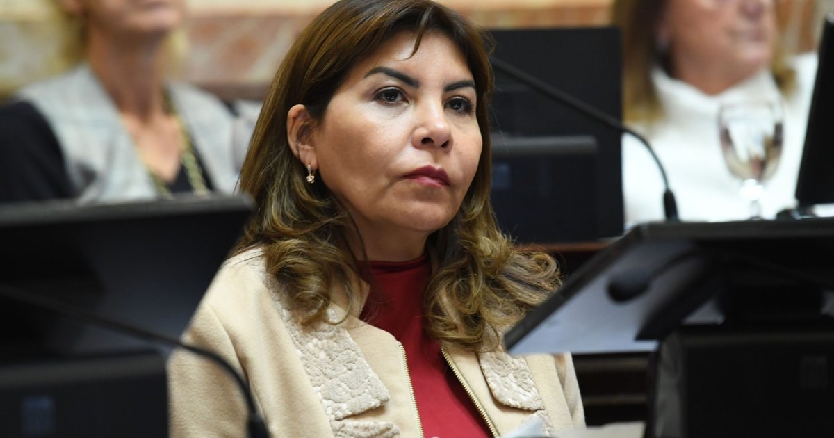 La polémica declaración de una senadora kirchnerista: «No creo que este gobierno llegue al 26 de octubre»