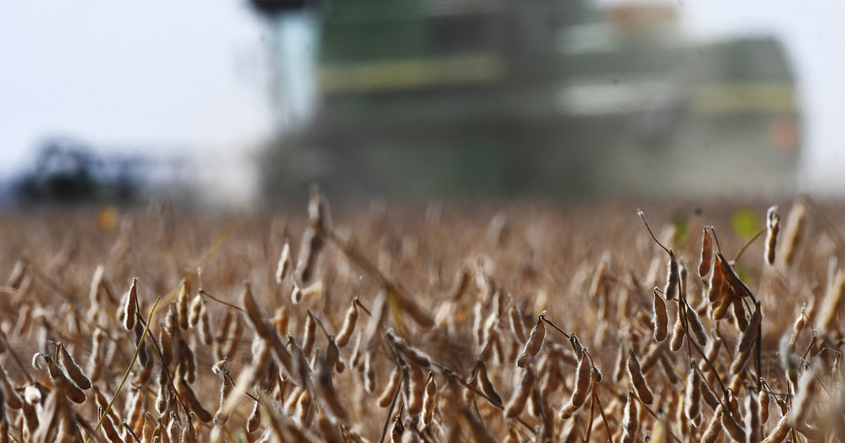 Alerta en el campo: EE.UU. quiere terminar con retenciones cero para el agro