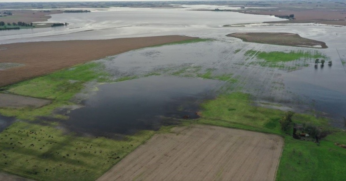 Por las inundaciones y la falta de obras, peligra la producción de trigo Por las inundaciones y la falta de obras, peligra la producción de trigo