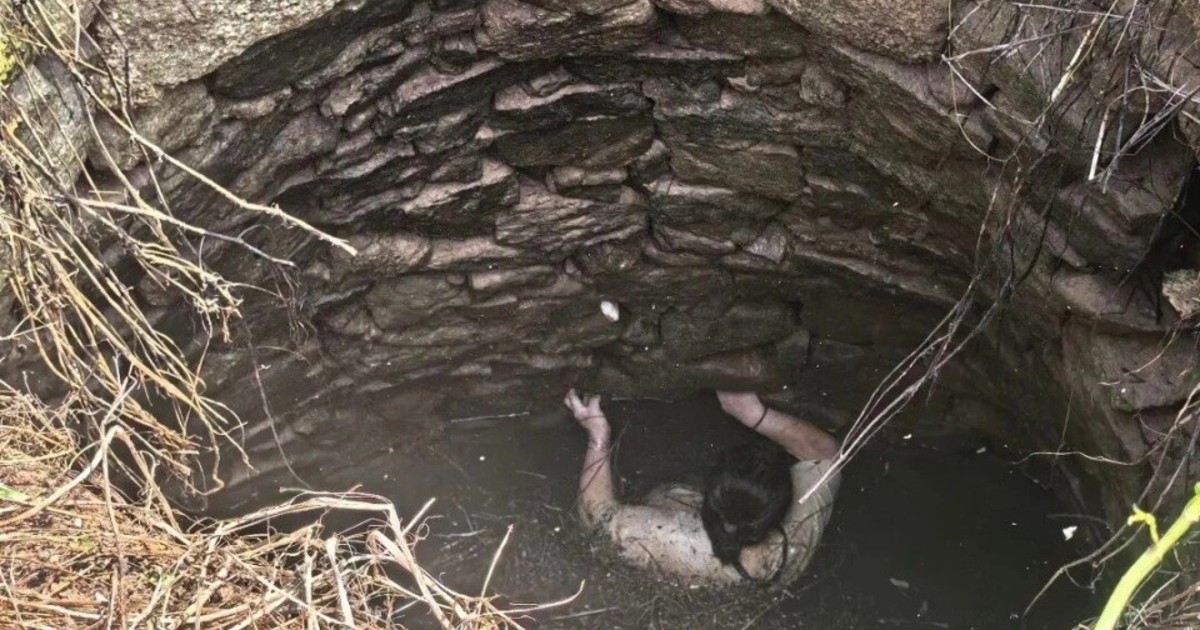 Se cayó en un pozo y vivió una pesadilla durante 54 horas: «El fondo estaba completamente oscuro, lleno de mosquitos, e incluso había serpientes»
