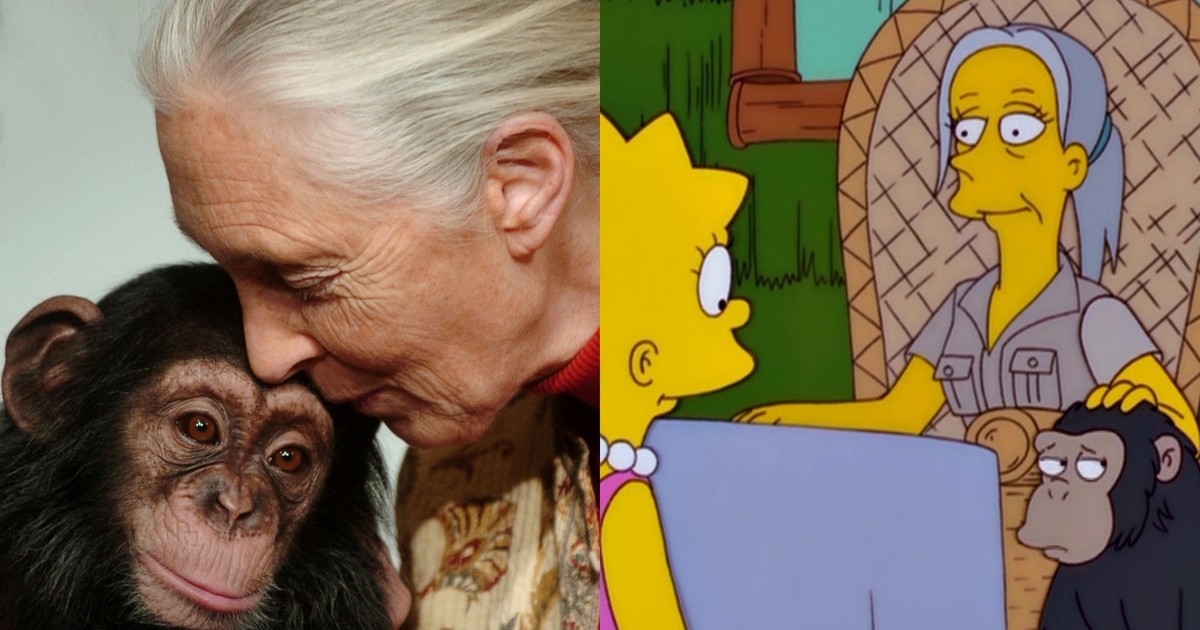 Murió Jane Goodall: el día que “la mujer de los chimpancés” apareció en Los Simpsons