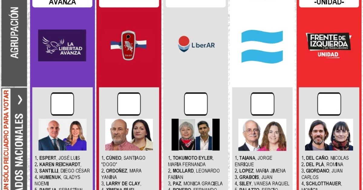 Reimpresión de boletas en Provincia: se retrasa la decisión por un error de la Junta Electoral de Buenos Aires
