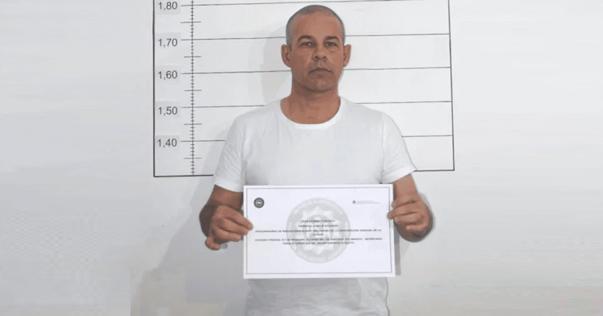 Javier Milei firmó el decreto para que extraditen a Federico «Fred» Machado a los Estados Unidos Javier Milei firmó el decreto para que extraditen a Federico «Fred» Machado a los Estados Unidos