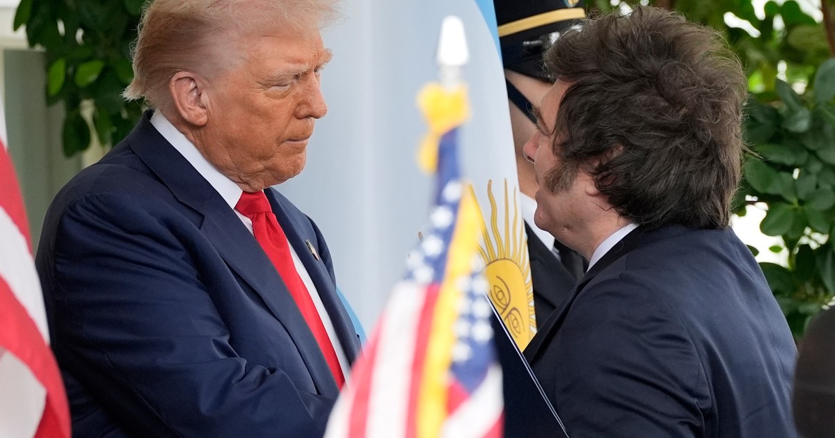 Milei y Trump en EE.UU: qué productos corren con más chances de ser beneficiados con la baja de aranceles Milei y Trump en EE.UU: qué productos corren con más chances de ser beneficiados con la baja de aranceles