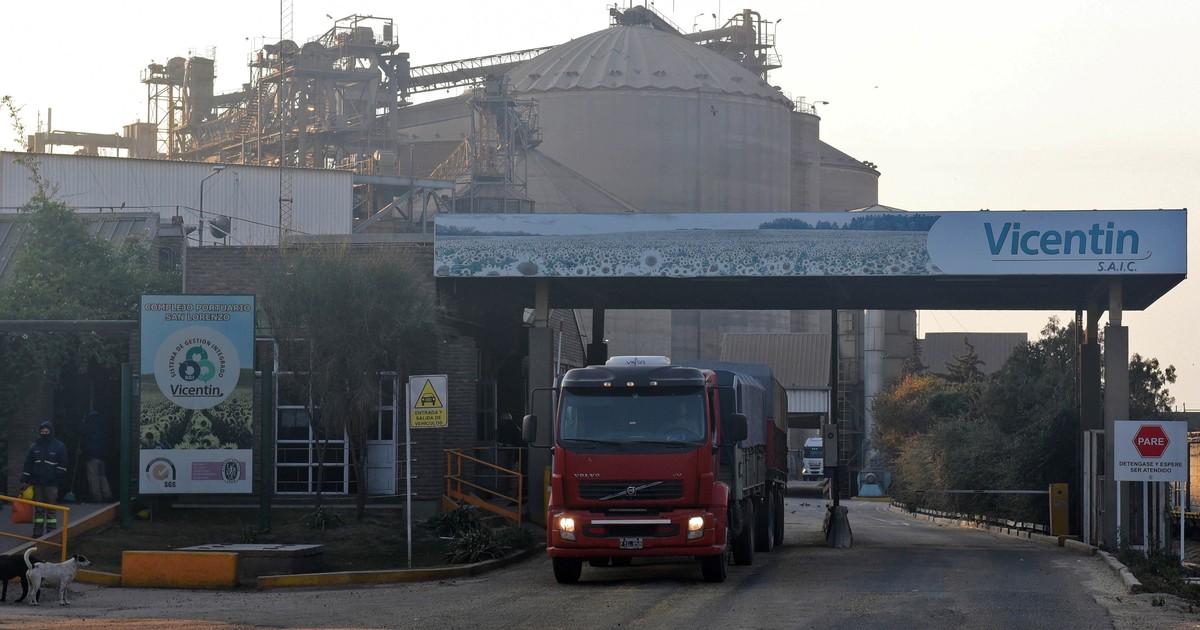 La competencia por Vicentin, a favor de los acreedores La competencia por Vicentin, a favor de los acreedores