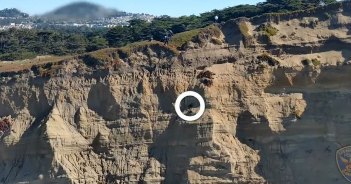 Un equipo de bomberos realizó un increíble rescate de un perro que cayó en un acantilado Un equipo de bomberos realizó un increíble rescate de un perro que cayó en un acantilado