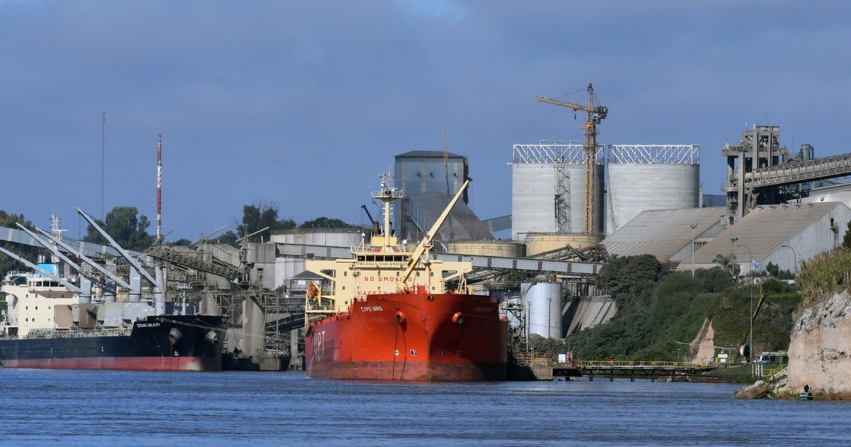 Se desplomó la liquidación de divisas del campo tras la finalización de las retenciones cero