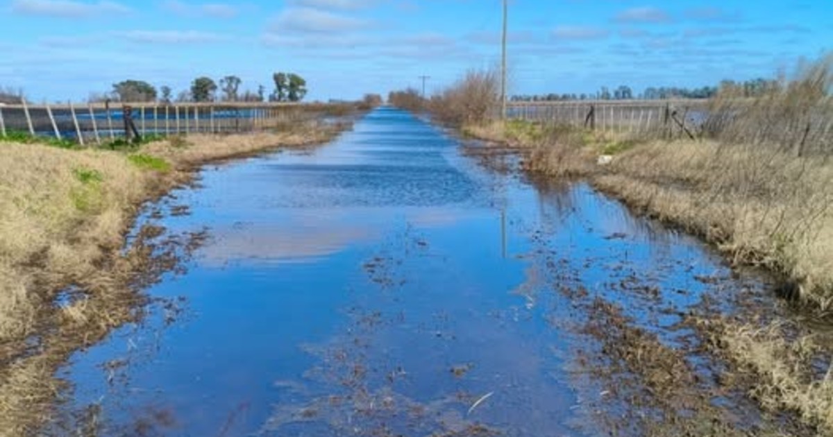 Un municipio bonaerense permitirá que los productores arreglen los caminos rurales y descuenten el costo de la tasa vial