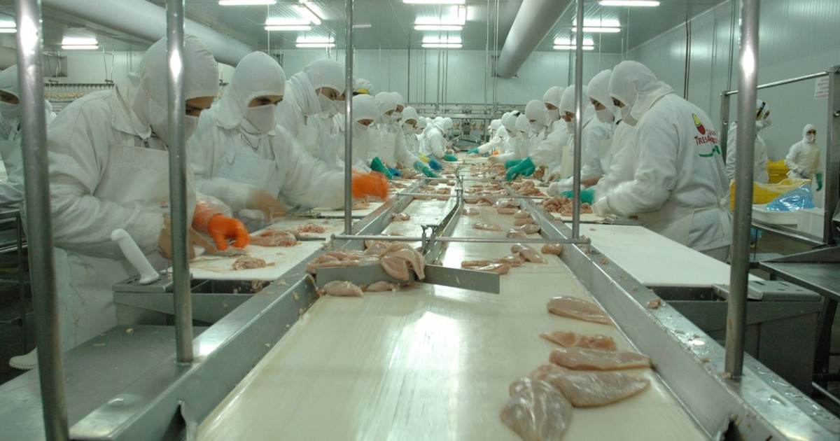 Se agrava la crisis de Granja Tres Arroyos y tambalean las plantas de la principal productora de pollos de la Argentina