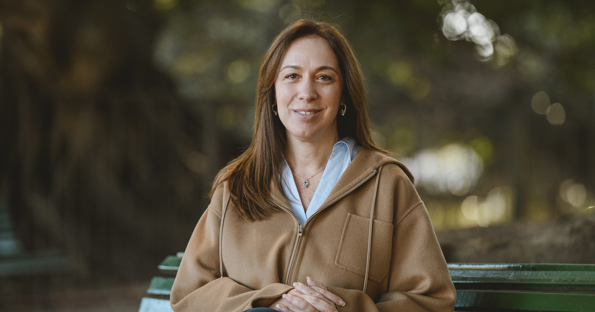 Vidal avaló las reformas de Milei, pero le advirtió al PRO: «No necesita pintarse de violeta para apoyar al Gobierno»