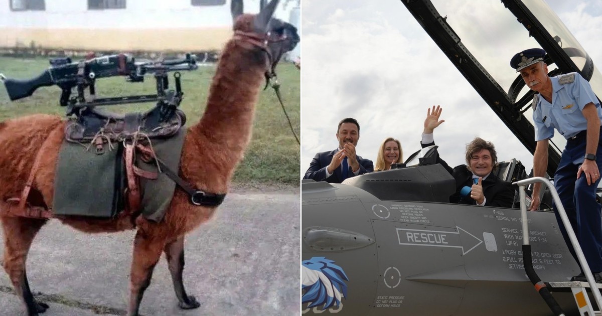 Santilli celebró la llegada de los F-16 con un irónico mensaje contra el kirchnerismo: «Pasamos de incorporar llamas metralletas a aviones de combate»