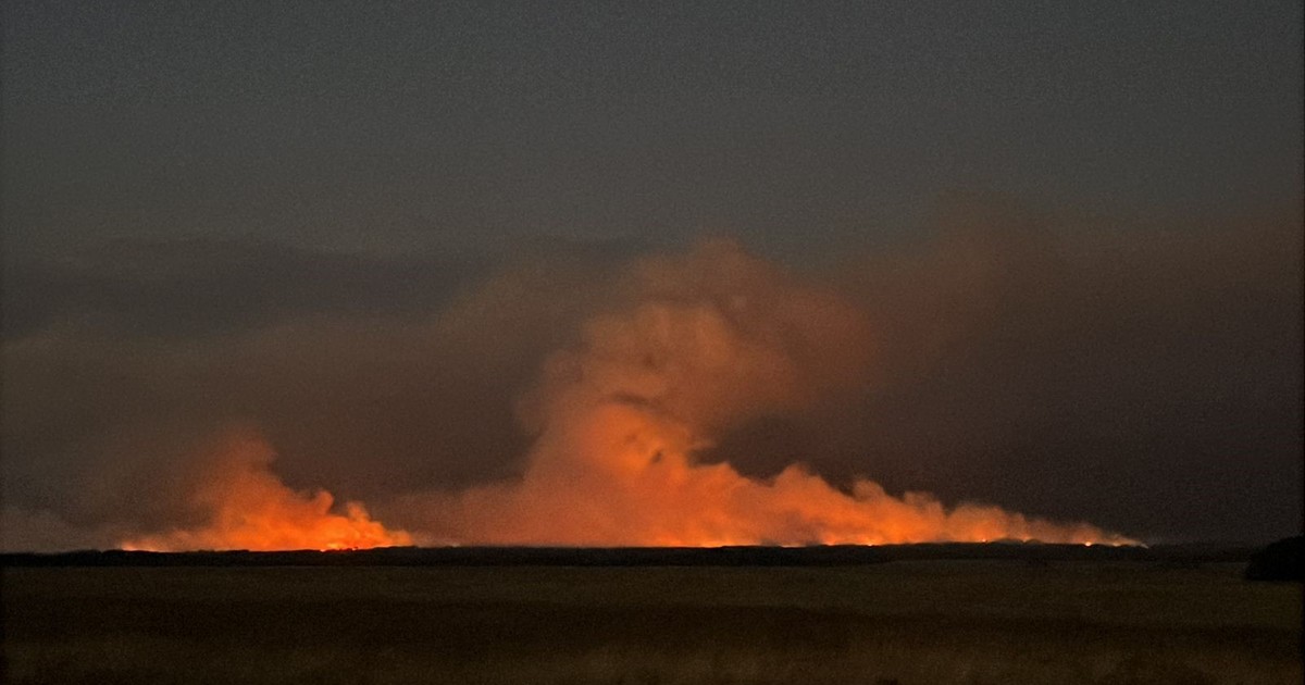 El fuego se devoró casi 100.000 hectáreas en La Pampa y los productores piden medidas para enfrentar la situación y las pérdidas