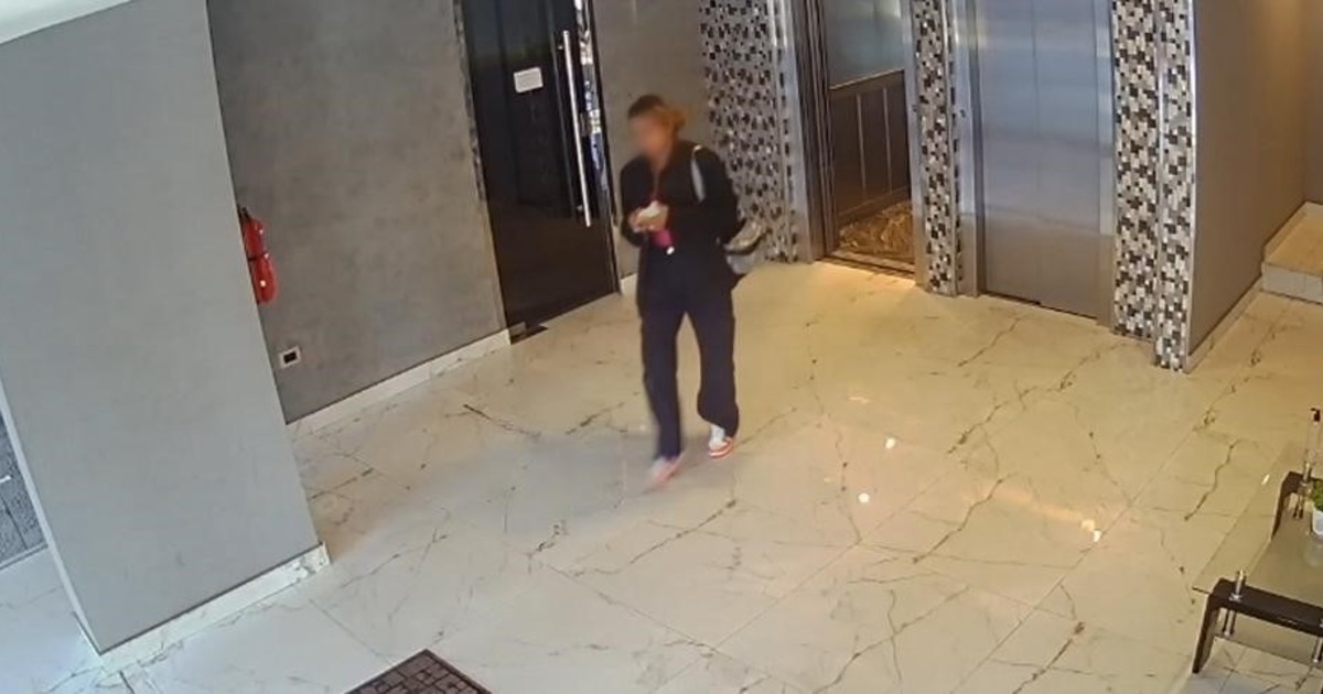 La viuda negra que dejó los dedos marcados: una huella dactilar permitió identificarla y fue detenida en Villa Urquiza La viuda negra que dejó los dedos marcados: una huella dactilar permitió identificarla y fue detenida en Villa Urquiza