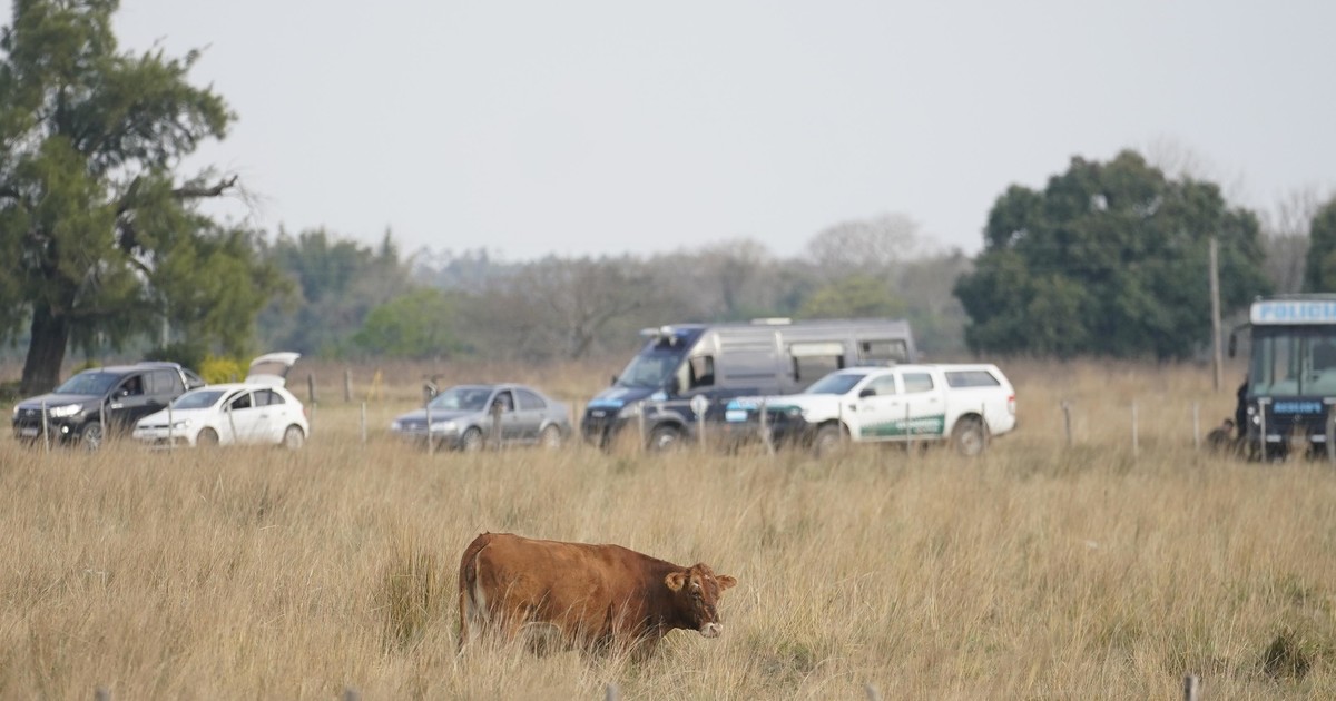 Caso Loan: la conclusión que arrojó la inspección ocular de seis horas que hicieron en el campo donde desapareció el nene Caso Loan: la conclusión que arrojó la inspección ocular de seis horas que hicieron en el campo donde desapareció el nene