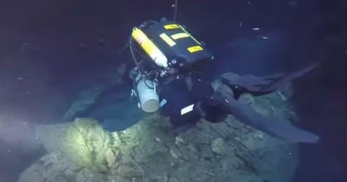 La muerte de Dave Shaw, el buceador que se ahogó a 274 metros de profundidad durante una heroica misión en Sudáfrica La muerte de Dave Shaw, el buceador que se ahogó a 274 metros de profundidad durante una heroica misión en Sudáfrica
