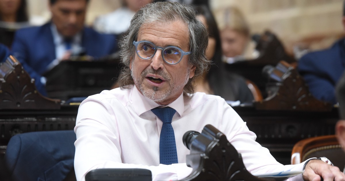 «Algunos militan con sotana el regreso del peronismo»: Benegas Lynch apuntó contra García Cuerva por su discurso en el Tedeum