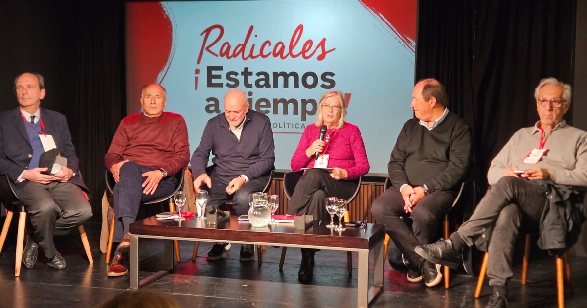Sectores de la UCR piden que se unifiquen sus bloques legislativos y que no acompañen la eliminación de las PASO