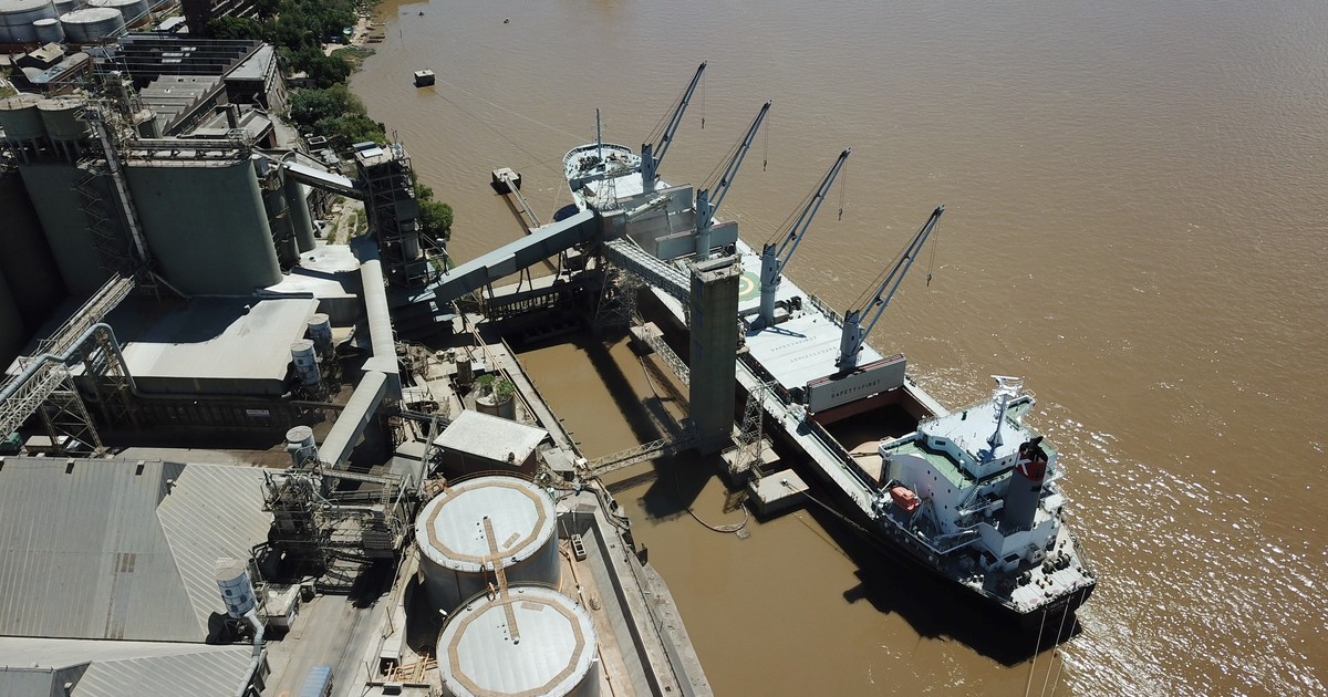 El campo aceleró la liquidación de divisas de la mano de la cosecha:  ingresaron casi US$ 2.700 millones