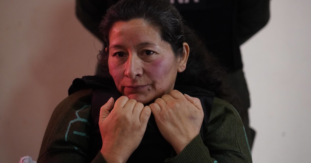 Laudelina Peña, cara a cara con los jueces: hoy tiene que explicar qué pasó con Loan