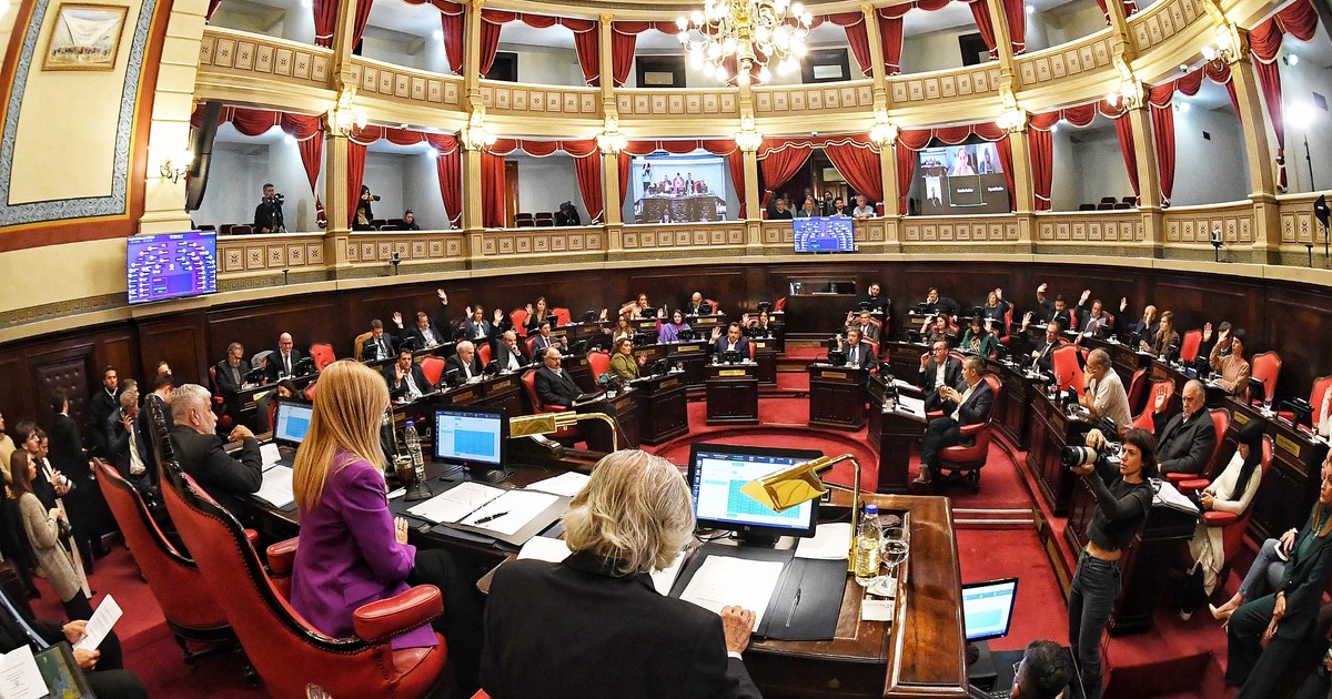 Tras seis meses de parálisis, el Senado bonaerense tiene su primera sesión del año: bronca del kirchnerismo duro y libertarios por los proyectos que se tratan
