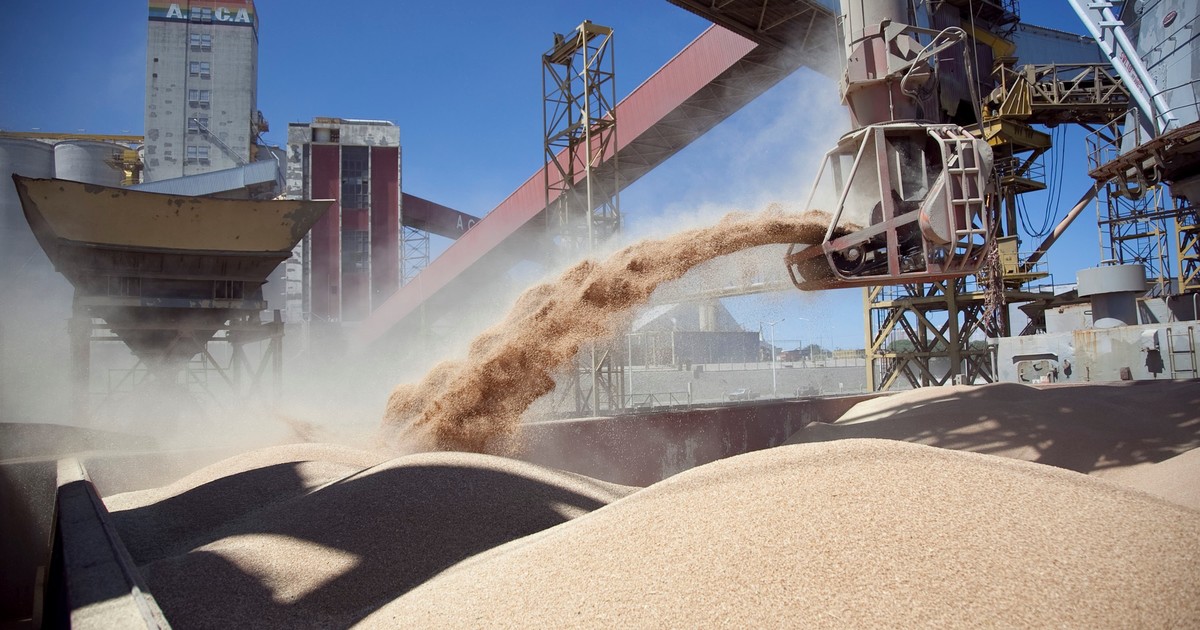 «Un paso muy grande para la industria nacional»: revelan que la proteína de soja argentina tiene el mejor perfil del mercado