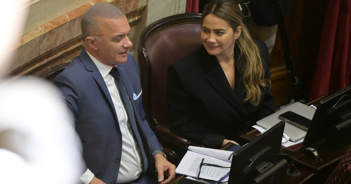 La interna misionera suma tensión a la ley de venta de tierras a extranjeros en el Senado La interna misionera suma tensión a la ley de venta de tierras a extranjeros en el Senado