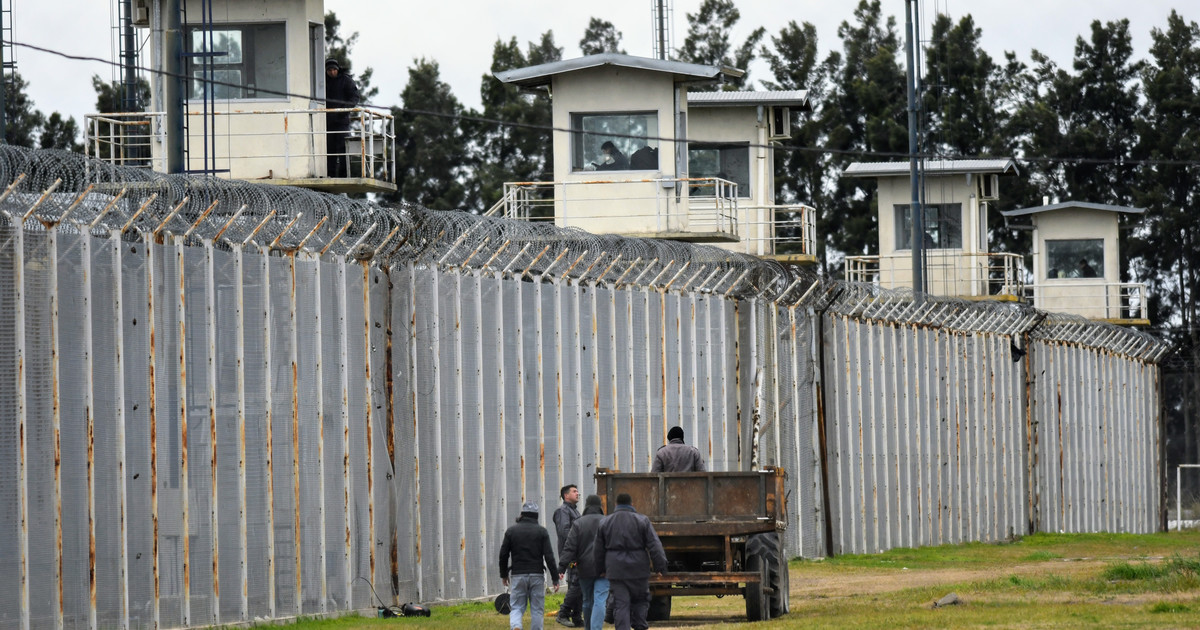 Un preso pidió una extracción de semen y su abogado hizo una presentación formal: “Sólo requiere un espacio reservado dentro de la unidad»